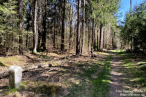 Spessart: Grenzweg am Rothenberg - Foto: Stefan Frerichs / RheinWanderer.de