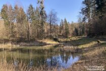 Spessart: Fischteich am Gogelgraben - Foto: Stefan Frerichs / RheinWanderer.de