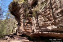 Pfälzerwald: Wanderweg am Saufelsen bei Rodalben - Foto: Stefan Frerichs / RheinWanderer.de