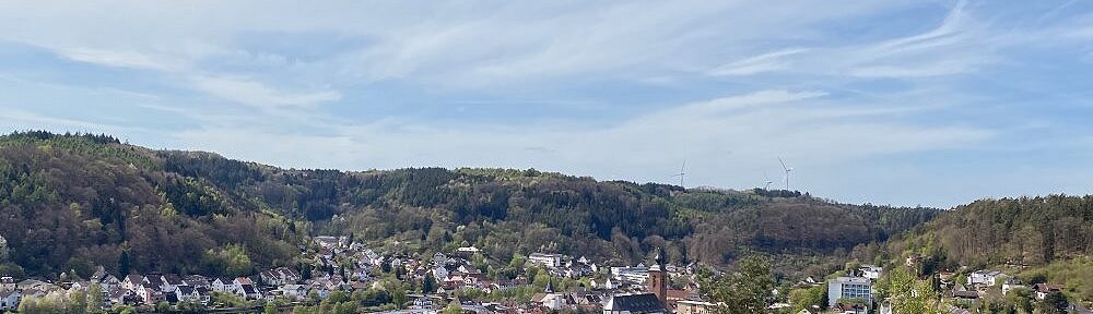 Pfälzerwald: Blick vom Hilschberghaus auf Rodalben - Foto: Stefan Frerichs / RheinWanderer.de