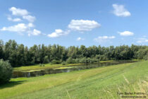 Deltarhein: Waal-Altarm bei Dodewaard - Foto: Stefan Frerichs / RheinWanderer.de