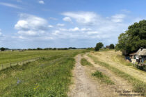 Deltarhein: Wanderweg auf altem Waaldeich hinter Dodewaard - Foto: Stefan Frerichs / RheinWanderer.de
