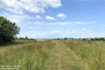 Deltarhein: Wanderweg auf altem Waaldeich vor Ochten - Foto: Stefan Frerichs / RheinWanderer.de