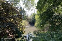 Niederrhein: Teich im Naturschutzgebiet Die Moiedtjes - Foto: Stefan Frerichs / RheinWanderer.de