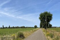 Niederrhein: Klompenweg hinter Elten - Foto: Stefan Frerichs / RheinWanderer.de