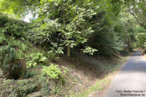 Spessart: Kreuzweg hinter Hessenthal - Foto: Stefan Frerichs / RheinWanderer.de