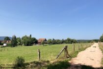 Spessart: Wanderweg vor Hofthiergarten - Foto: Stefan Frerichs / RheinWanderer.de