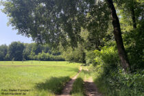 Spessart: Wanderweg am Waldrand hinter Wildensee - Foto: Stefan Frerichs / RheinWanderer.de
