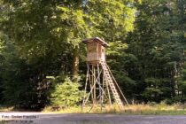 Spessart: Hochsitz an Wegkreuzung Steineiche Laufach - Foto: Stefan Frerichs / RheinWanderer.de