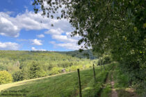 Spessart: Wanderweg oberhalb des Auerbachtals - Foto: Stefan Frerichs / RheinWanderer.de