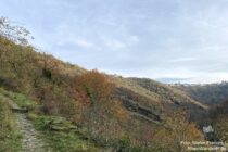 Mittelrhein: Blick über das Forstbachtal auf Patersberg - Foto: Stefan Frerichs / RheinWanderer.de