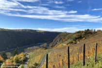 Mittelrhein: Blick über die Weinlage Bornicher Rothenack auf die Loreley - Foto: Stefan Frerichs / RheinWanderer.de