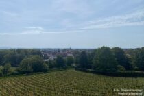 Oberrhein: Blick zurück auf Alsheim - Foto: Stefan Frerichs / RheinWanderer.de