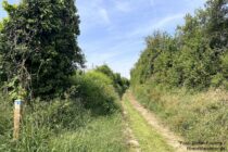 Oberrhein: Wanderweg im oberer Teil der Krummsteighohl bei Alsheim - Foto: Stefan Frerichs / RheinWanderer.de