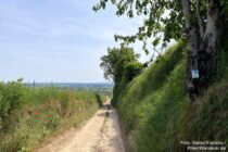 Oberrhein: Wanderweg in Langer Plaul - Foto: Stefan Frerichs / RheinWanderer.de