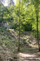Mittelrhein: Wanderweg am alten Steinbruch - Foto: Stefan Frerichs / RheinWanderer.de