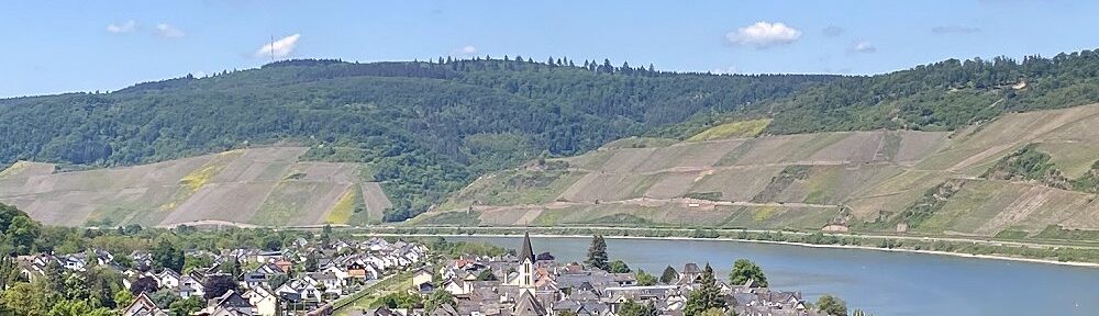 Mittelrhein: Blick vom Hexenköpfel auf Osterspai - Foto: Stefan Frerichs / RheinWanderer.de