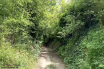 Oberrhein: Wanderweg in der Münzelhohl - Foto: Stefan Frerichs / RheinWanderer.de