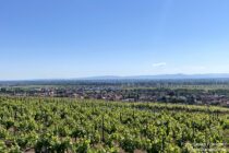 Oberrhein: Blick vom Rosenberg auf Alsheim - Foto: Stefan Frerichs / RheinWanderer.de