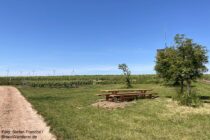 Oberrhein: Wanderweg am Rastplatz Rosenberg bei Alsheim - Foto: Stefan Frerichs / RheinWanderer.de