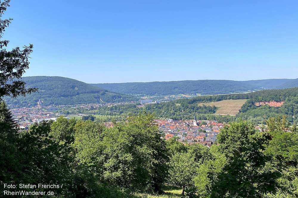 Main: Blick von der Stutzkapelle auf Miltenberg und Bürgstadt - Foto: Stefan Frerichs / RheinWanderer.de