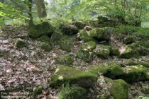 Main: Ruinen vom Räuberschlösschen bei Freudenberg - Foto: Stefan Frerichs / RheinWanderer.de