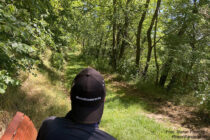 Oberrhein: RheinWanderer auf einer Bank vor Alsheim - Foto: Stefan Frerichs / RheinWanderer.de
