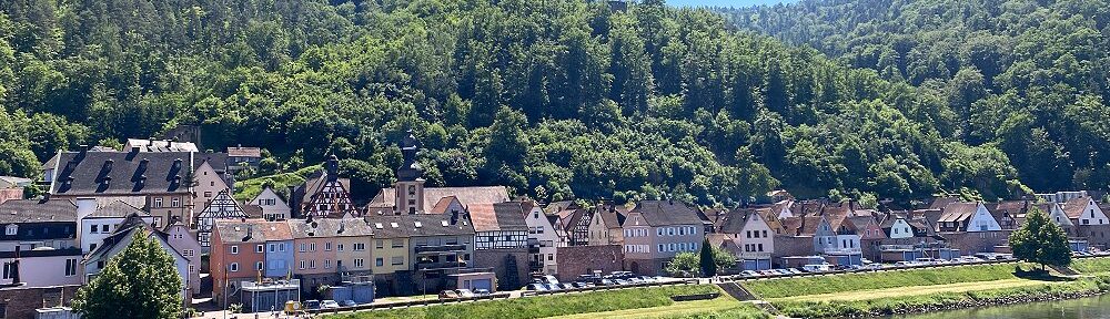 Main: Blick auf Freudenberg am Main - Foto: Stefan Frerichs / RheinWanderer.de