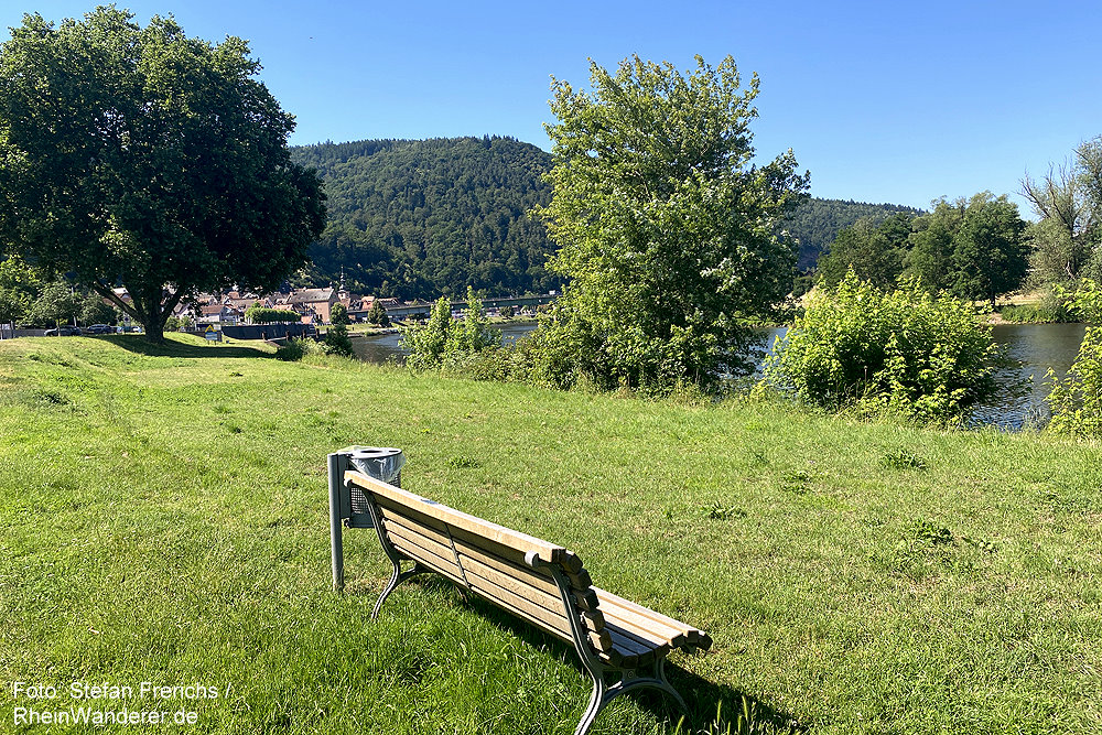 Main: Bank am Mainufer bei Freudenberg - Foto: Stefan Frerichs / RheinWanderer.de