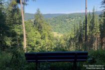 Main: Bank mit Blick ins Maintal - Foto: Stefan Frerichs / RheinWanderer.de