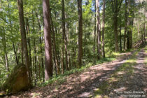 Main: Wegstein hinter Boxtal - Foto: Stefan Frerichs / RheinWanderer.de