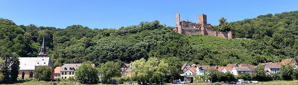 Main: Blick auf Stadtprozelten am Main - Foto: Stefan Frerichs / RheinWanderer.de