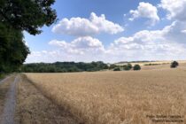 Main: Wanderweg an Feldern bei Bestenheid - Foto: Stefan Frerichs / RheinWanderer.de
