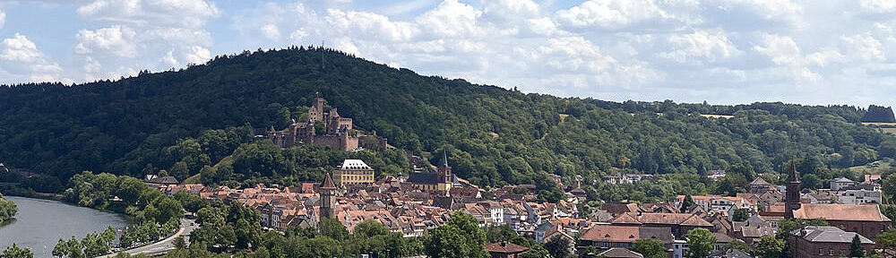 Main: Blick auf Wertheim - Foto: Stefan Frerichs / RheinWanderer.de