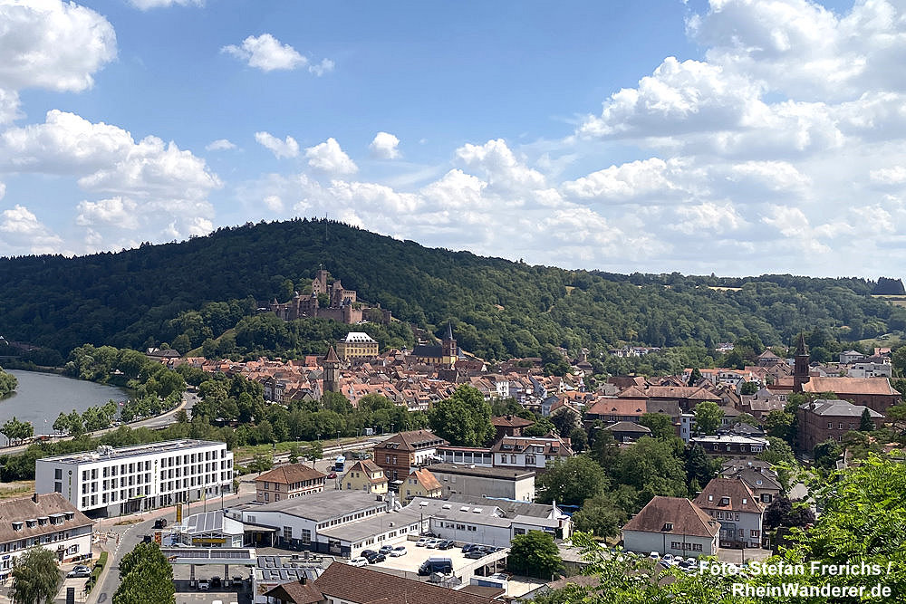 Main: Blick auf Wertheim - Foto: Stefan Frerichs / RheinWanderer.de