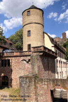 Main: Hoher oder Weißer Turm in Wertheim - Foto: Stefan Frerichs / RheinWanderer.de