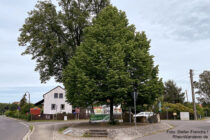 Sächsische Schweiz: Platz an der Friedenslinde in Oberlohmen - Foto: Stefan Frerichs / RheinWanderer.de
