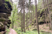 Sächsische Schweiz: Wanderweg im oberen Teil vom Schleifgrund - Foto: Stefan Frerichs / RheinWanderer.de