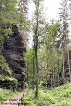 Sächsische Schweiz: Wanderweg im Schleifgrund - Foto: Stefan Frerichs / RheinWanderer.de