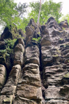 Sächsische Schweiz: Felsen im Schleifgrund - Foto: Stefan Frerichs / RheinWanderer.de