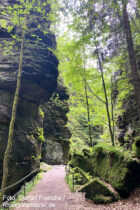 Sächsische Schweiz: Wanderweg vor Gustav-Heynhold-Inschrift im Uttewalder Grund - Foto: Stefan Frerichs / RheinWanderer.de
