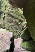Sächsische Schweiz: Felsen in den Teufelsschlüchten im Teufelsgrund - Foto: Stefan Frerichs / RheinWanderer.de