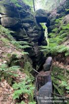 Sächsische Schweiz: Felsentor in der Teufelskammer im Teufelsgrund - Foto: Stefan Frerichs / RheinWanderer.de