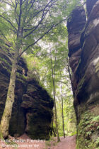 Sächsische Schweiz: Weg in der Teufelskammer im Teufelsgrund - Foto: Stefan Frerichs / RheinWanderer.de